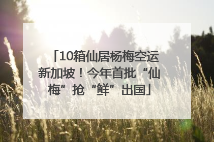 10箱仙居杨梅空运新加坡！今年首批“仙梅”抢“鲜”出国