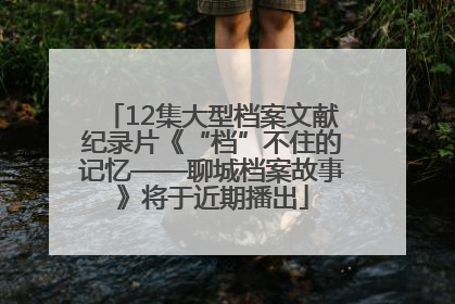 12集大型档案文献纪录片《“档”不住的记忆——聊城档案故事》将于近期播出