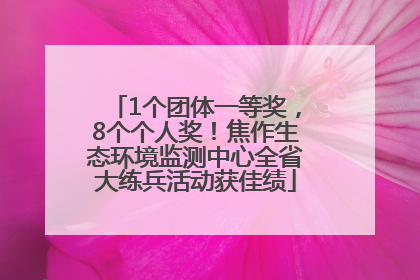 1个团体一等奖，8个个人奖！焦作生态环境监测中心全省大练兵活动获佳绩