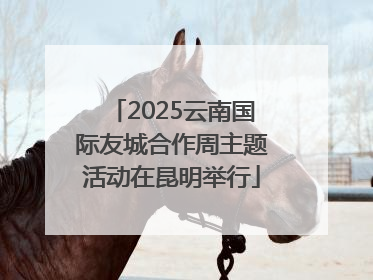 2025云南国际友城合作周主题活动在昆明举行