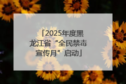 2025年度黑龙江省“全民禁毒宣传月”启动