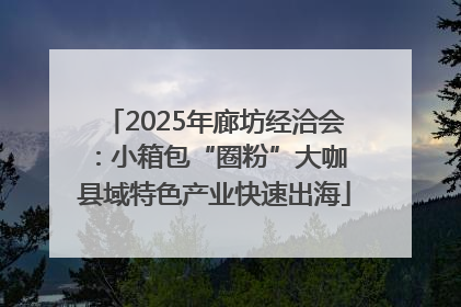 2025年廊坊经洽会：小箱包“圈粉”大咖 县域特色产业快速出海