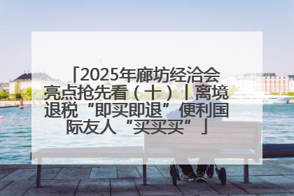 2025年廊坊经洽会亮点抢先看（十）丨离境退税“即买即退”便利国际友人“买买买”