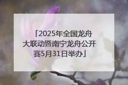 2025年全国龙舟大联动暨南宁龙舟公开赛5月31日举办