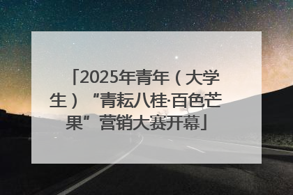 2025年青年（大学生）“青耘八桂·百色芒果”营销大赛开幕
