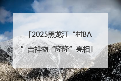 2025黑龙江“村BA”吉祥物“隆隆”亮相