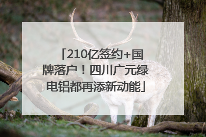 210亿签约+国牌落户！四川广元绿电铝都再添新动能