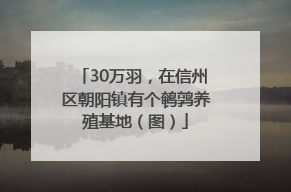 30万羽，在信州区朝阳镇有个鹌鹑养殖基地（图）