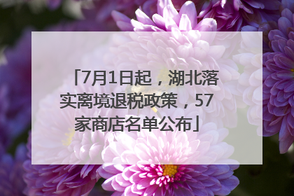 7月1日起，湖北落实离境退税政策，57家商店名单公布