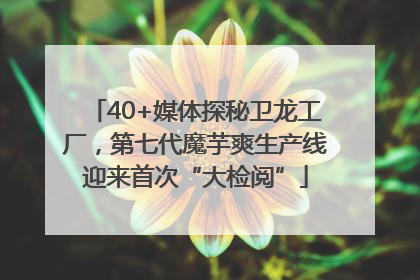 40+媒体探秘卫龙工厂，第七代魔芋爽生产线迎来首次“大检阅”