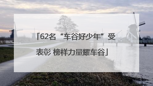 62名“车谷好少年”受表彰 榜样力量耀车谷