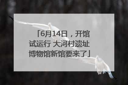 6月14日，开馆试运行 大河村遗址博物馆新馆要来了