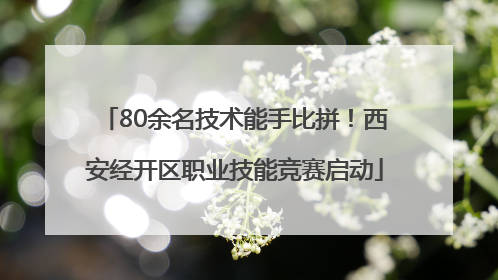 80余名技术能手比拼！西安经开区职业技能竞赛启动