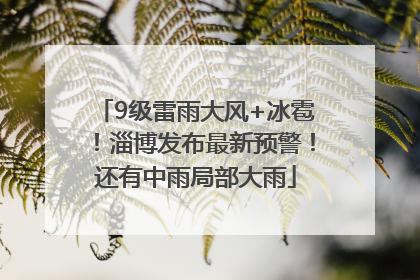 9级雷雨大风+冰雹！淄博发布最新预警！还有中雨局部大雨