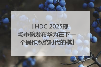 HDC 2025现场重磅发布华为在下一个操作系统时代的棋