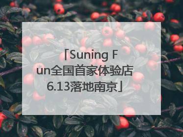 Suning Fun全国首家体验店6.13落地南京