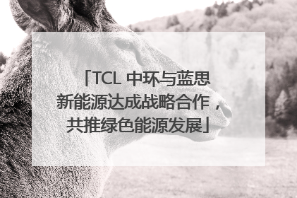 TCL 中环与蓝思新能源达成战略合作，共推绿色能源发展
