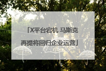 X平台宕机 马斯克再提将回归企业运营